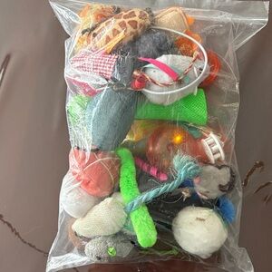 Assorted Cat Toys Variety Pack - Bright Multi-Color